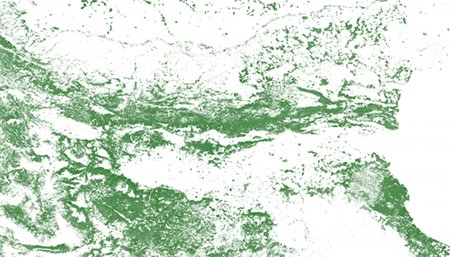 Данните за горите по сателитна снимка на NASA